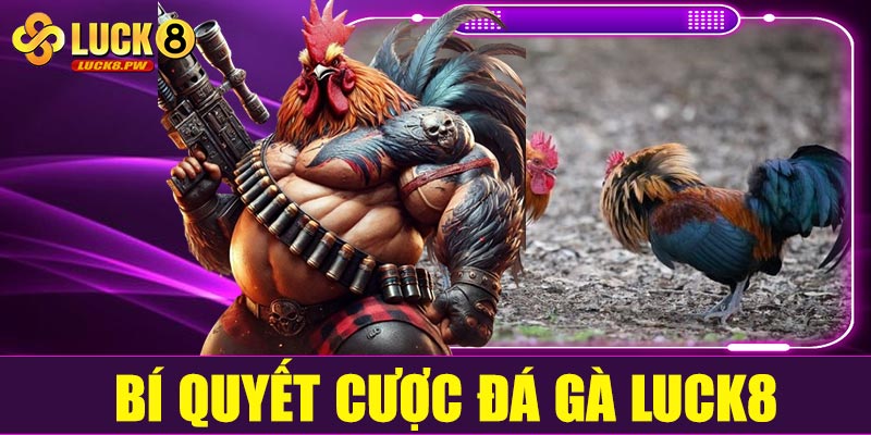 Bí quyết cược đá gà Luck8 hiệu quả