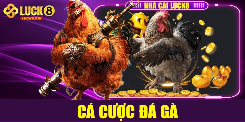 Cá cược đá gà