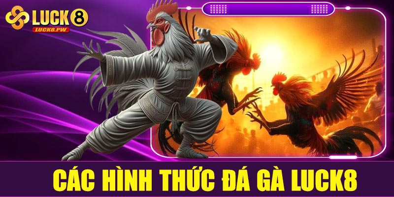 Các hình thức đá gà Luck8
