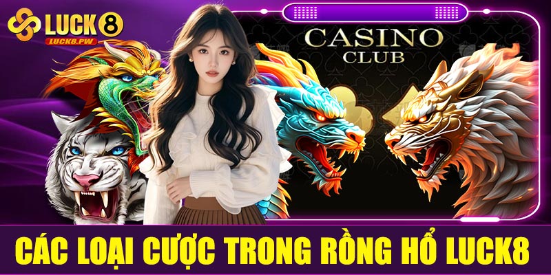 Các loại cược trong Rồng Hổ Luck8