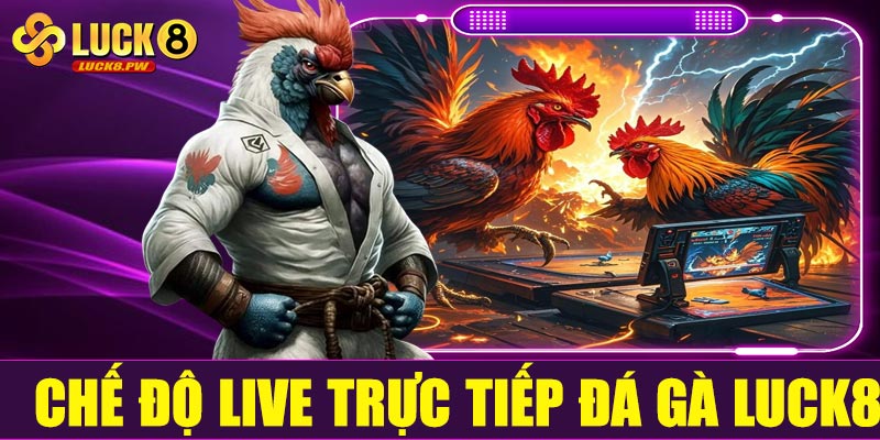 Chế độ live trực tiếp đá gà Luck8