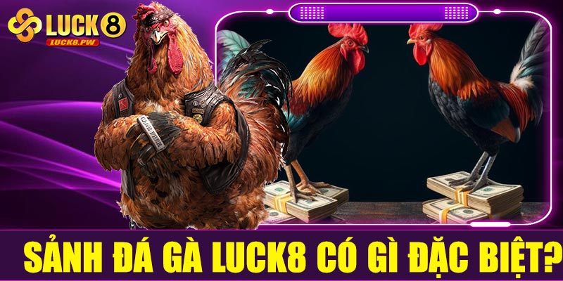 Sảnh đá gà Luck8 có gì đặc biệt?