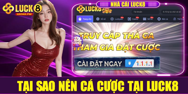 Vì sao nên cá cược tại Luck8?
