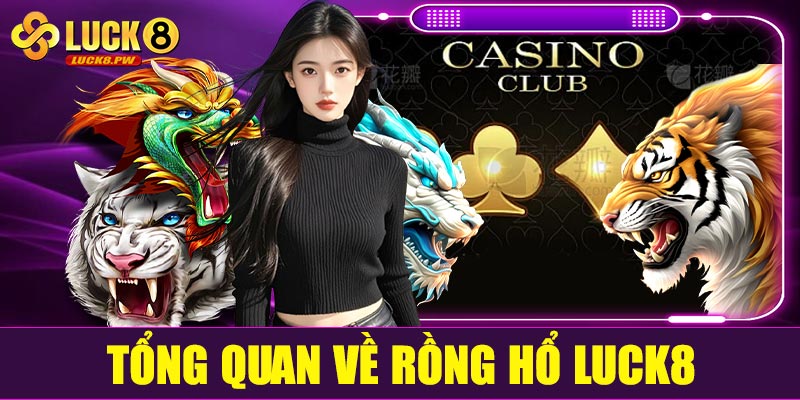 Giới thiệu tổng quan về Rồng Hổ Luck8