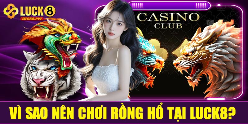 Vì sao nên chơi Rồng Hổ tại Luck8?